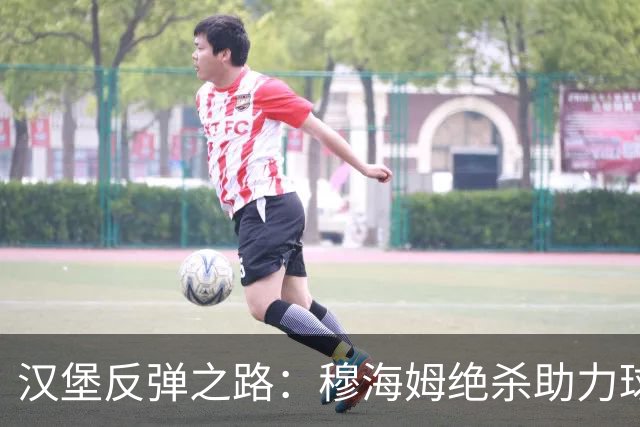 汉堡反弹之路：穆海姆绝杀助力球队连胜